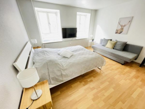 aday - Central Studio Apartment, Aalborg